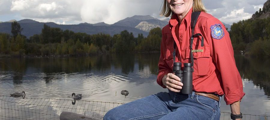 Susan Patla, shown here with three cygnets, or young trumpeter swans, discusses the state of the birds at a free Lunchtime Expedition lecture at the Buffalo Bill Center of the West August 6.