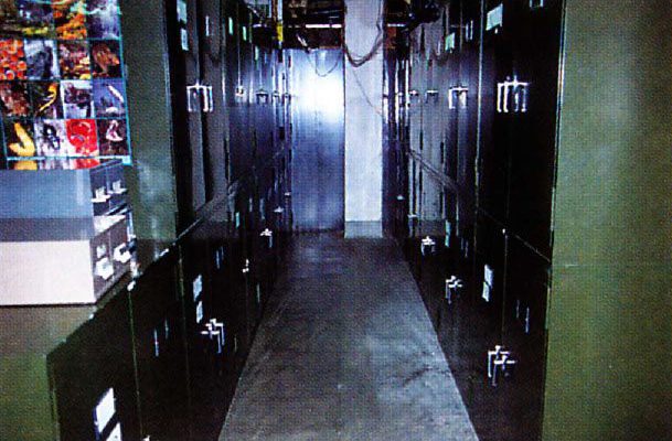The tradition of natural history museums has been to devote extensive, specialized facilities to the storage of ever-growing research collections. As expenses associated with maintenance of these collections escalates, fewer institutions are able to justify this commitment. Photo by C.R. Preston.