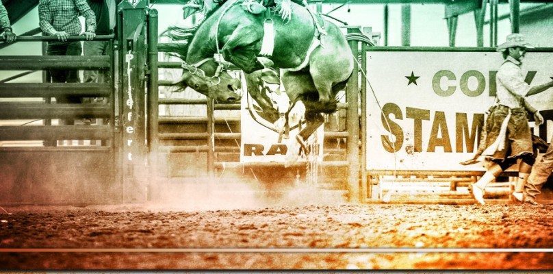 Lew Freedman's "Cody Rodeo"