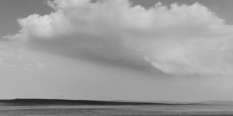 From Wyoming Grasslands: Park County’s Badger Basin. Michael P. Berman. July 31, 2013. L1016852