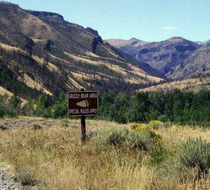 The “Grizzly Bear Area” sign in the Upper Greybull River Valley was an ironic twist for the two professors trailing a bear named Wahb.