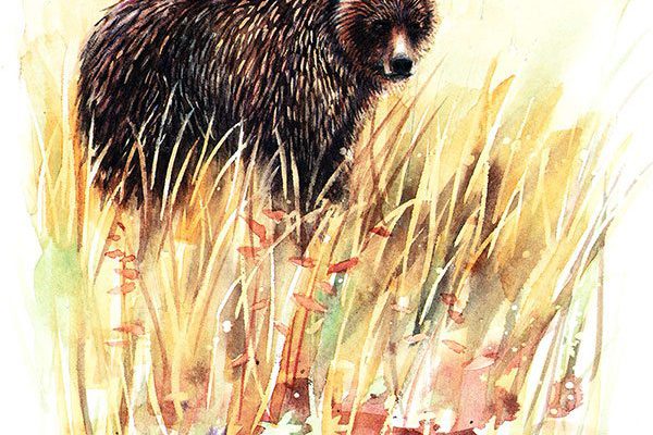 Illustration by Barbara Harmon.