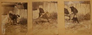 Figure 7. Sequence of photographs taken by Remington of trooper at Fort Huachuca while on his 1886 trip to the Southwest (FRAM 71.832).