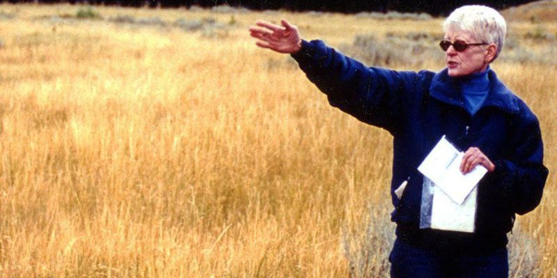Mary Meagher, shown here in the field, speaks about Yellowstone bison at our June 2 lecture.