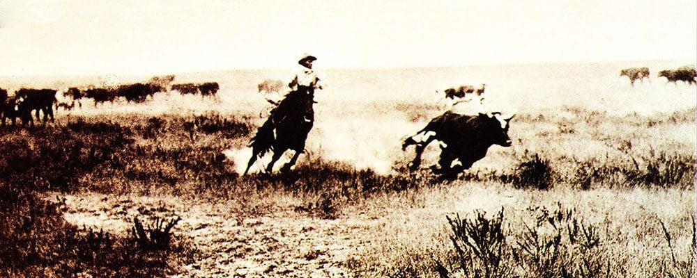 L.A. Huffman (1854 – 1931). Cutting Out a Steer, undated. MS 100 L.A. Huffman Collection.