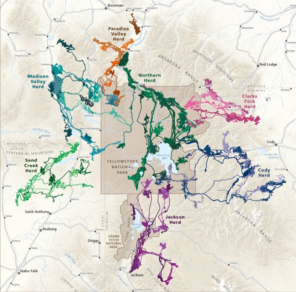 "Invisible Boundaries" elk migration map. 