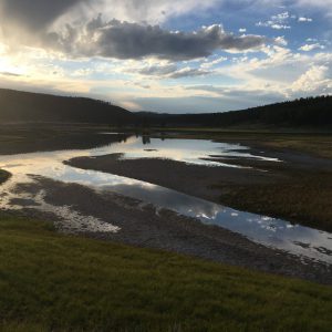 Yellowstone National Park