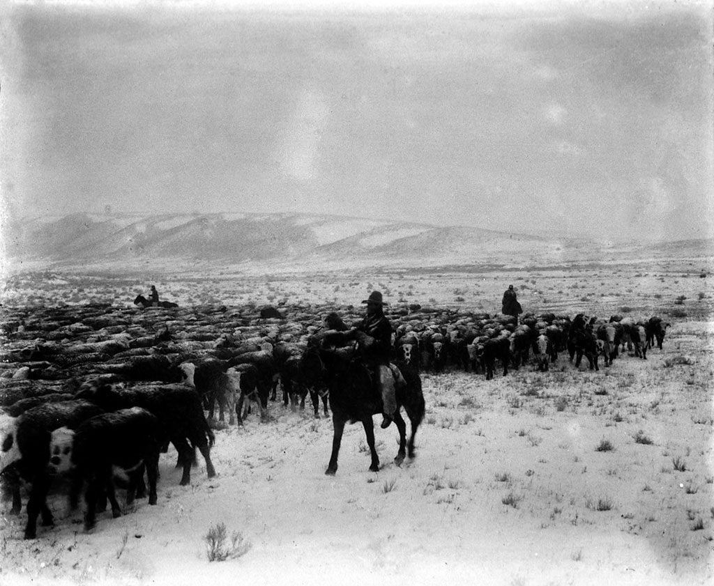 Charles J. Belden (1887-1966). A wintry day in the sagebrush country, c. 1920. MS 3 Charles Belden Collection, McCracken Research Library. P.67.599