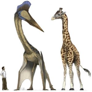 Quetzalcoatlus