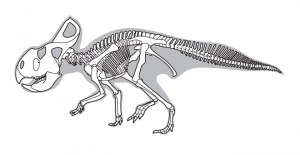 Protoceratops