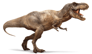 Tyrannosaurus Rex