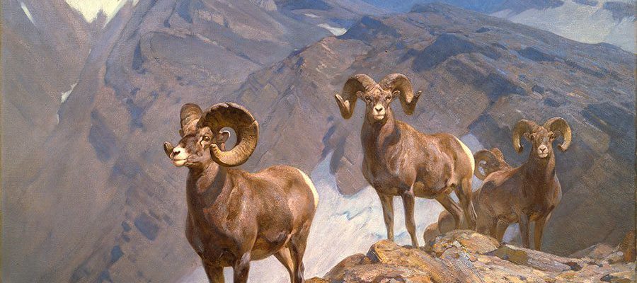 A Treasure from Our West: "The Mountaineers" by Carl Rungius. 16.93.2