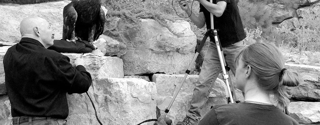 The Draper Natural History Museum's Chuck Preston and Melissa Hill assist Steve Horan as he photographs the Draper Museum Raptor Experience's Kateri, a golden eagle.