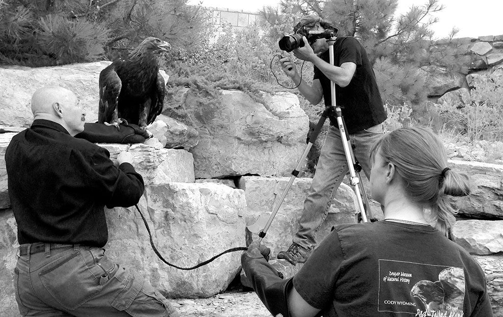 The Draper Natural History Museum's Chuck Preston and Melissa Hill assist Steve Horan as he photographs the Draper Museum Raptor Experience's Kateri, a golden eagle.