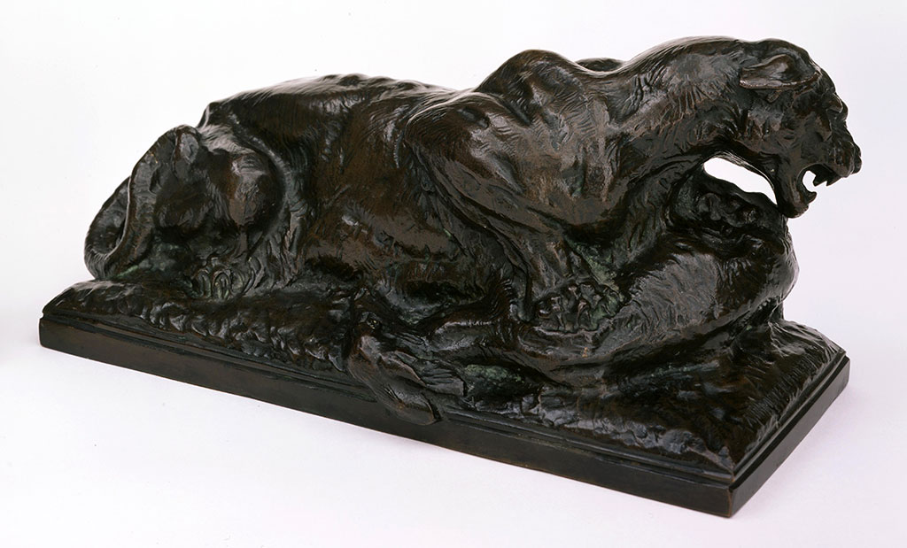 The strength and power of the lion is captured in bronze. Alexander Phimister Proctor (1860-1950). "Panther with Kill," modeled 1907, cast initially 1908. Bronze, 11.5 x 15.5 x 5 inches. Gift of A. Phimister Proctor Museum with special thanks to Sandy and Sally Church 4.08.14