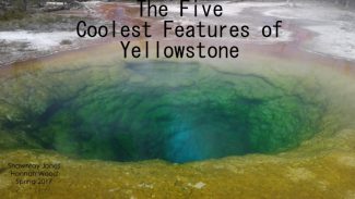 The Five Coolest Features of Yellowstone