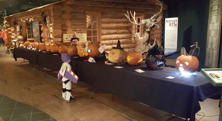 A young “Buzz Lightyear” carefully considers his favorite in the pumpkin-carving contest at last year’s Halloween Family Fun Day at the Center of the West.