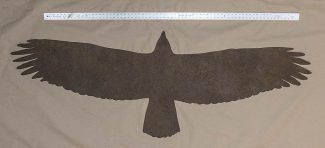 Golden Eagle Silhouette (002)