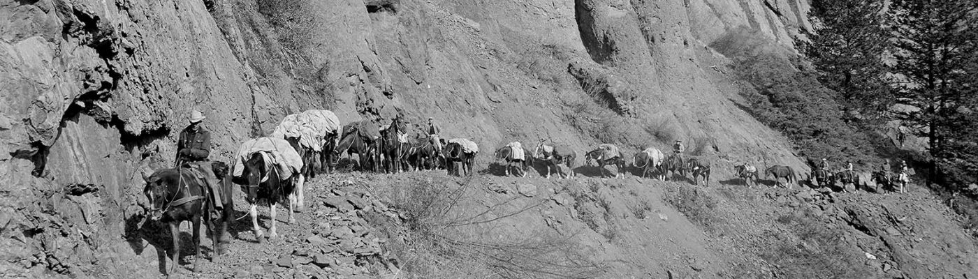 The makings of a true adventure? Max Wilde, a packstring like the one pictured, and a backcountry trail. Outfitter Les Bowman leads a packstring along Ishawooa Trail in 1953. MS 89 Jack Richard Collection. PN.89.105.20005.107