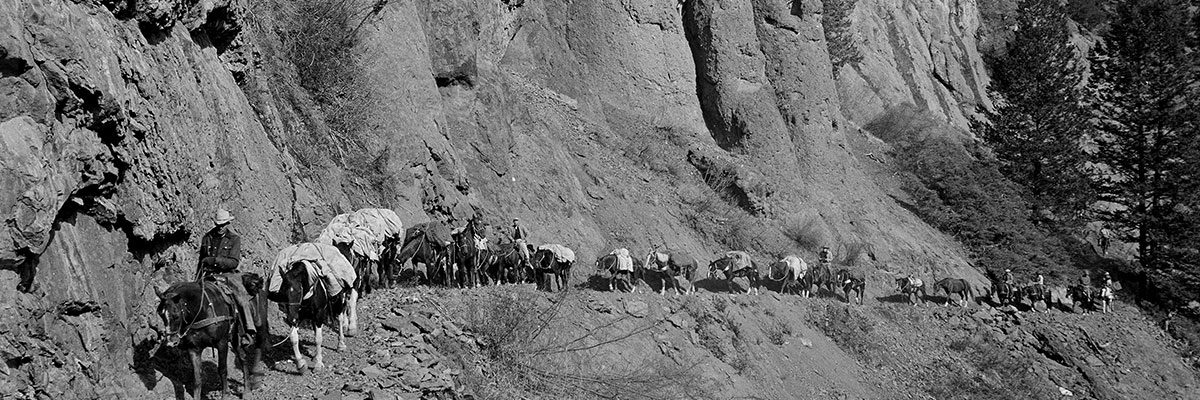 The makings of a true adventure? Max Wilde, a packstring like the one pictured, and a backcountry trail. Outfitter Les Bowman leads a packstring along Ishawooa Trail in 1953. MS 89 Jack Richard Collection. PN.89.105.20005.107