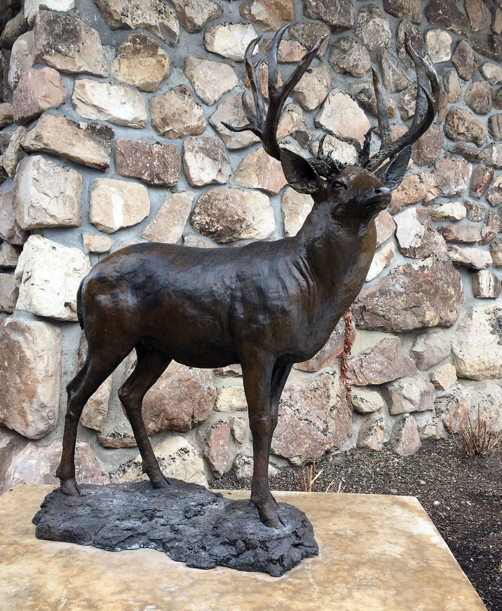 Michael Coleman (b. 1946). Life-Size Mule Deer, 2013. Bronze, H 66.5 x W 58 inches. Gift of Naoma Tate and the Family of Hal Tate. 12.13
