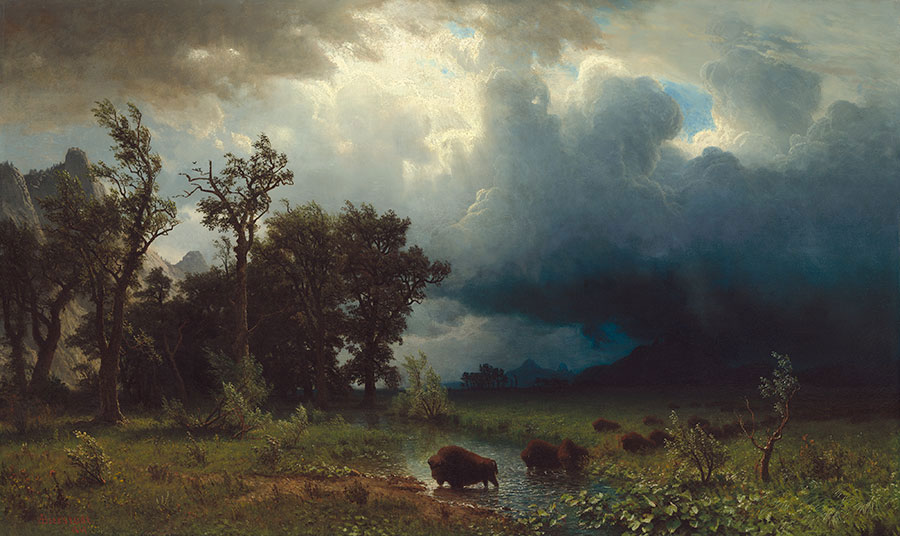 Points West Online Albert Bierstadt Witness to a