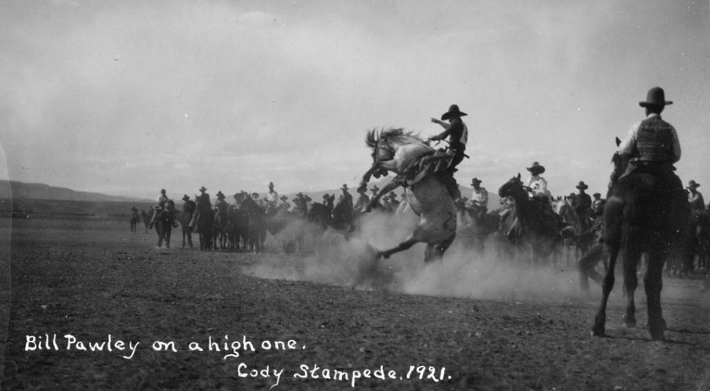 Bill Pawley on bronc at the 1921 Cody Stampede. P.5.1803