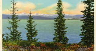 Postcard of Yellowstone Lake in Yellowstone National Park