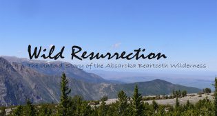 Wild Resurrection documentary cover