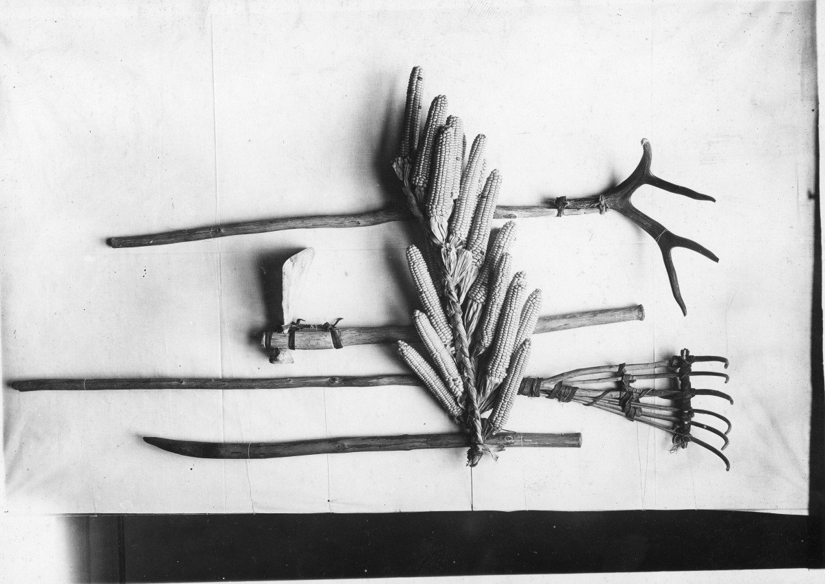 Native agricultural tools belonging to Buffalo Bird Woman, ca. 1870. Museum of the Rockies, Bozeman, Montana. Fair use 6825. Digital Public Library of America.