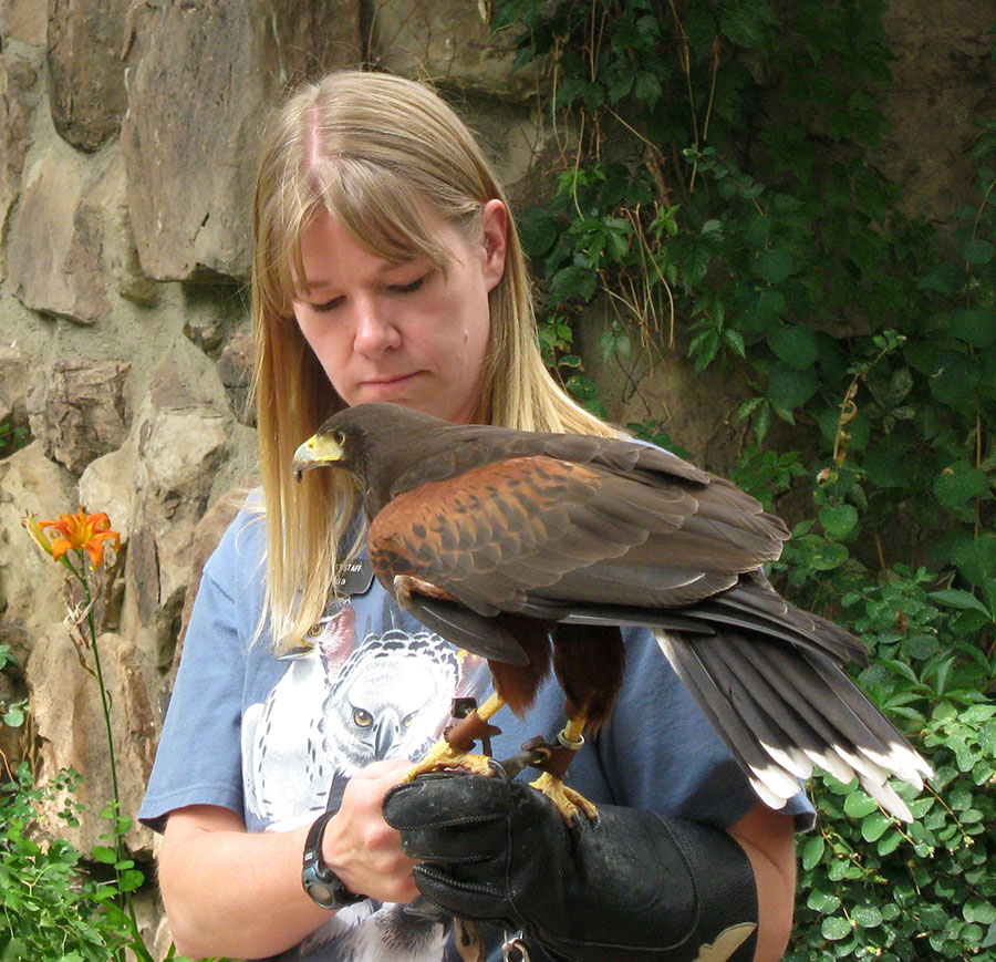 Melissa Hill with raptor