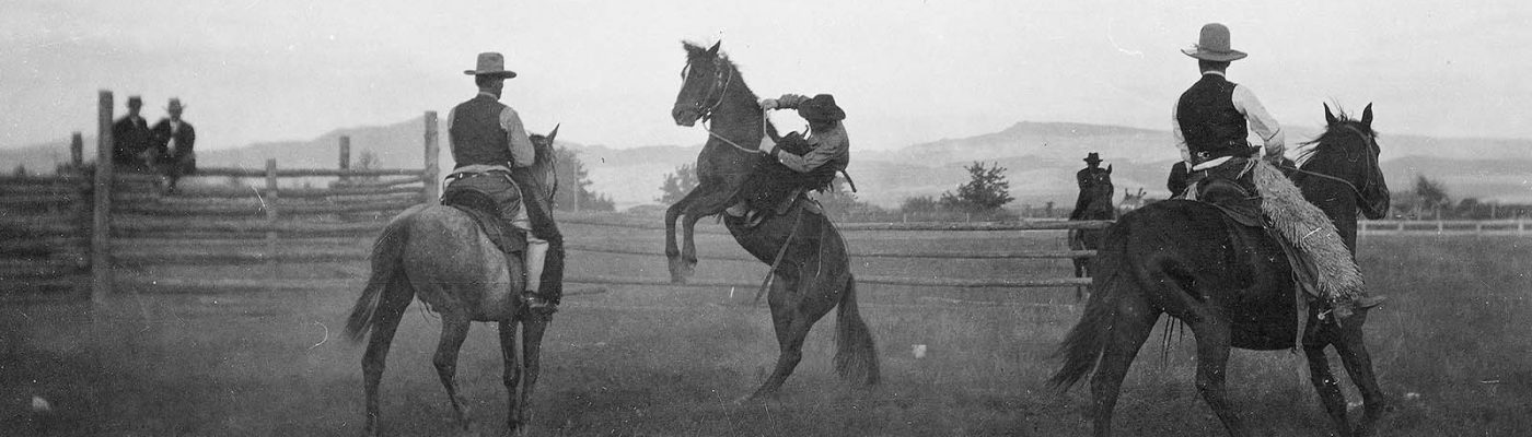 Arthur Holman bronc riding at Stampede Rodeo, Clarence William at left, Blocker Dodge at right. MS 005 Cody Local History Collection. P.69.1703