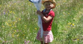 Sensory hike – for kids 4–5 – June 19, 26, and/or July 3, 2019