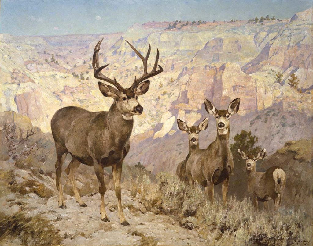 Carl Rungius (1869-1959). Mule Deer in the Badlands, Dawson County, Montana, 1914. Oil on canvas, 59.625 x 75.25 inches. Gift of Jackson Hole Preserve, Inc. 16.93.2