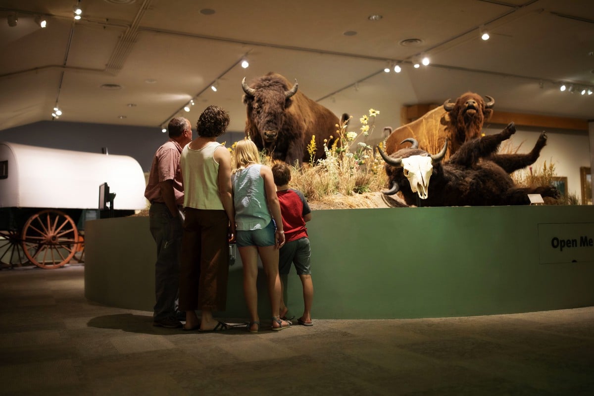 Sudan strukturelt regnskyl Buffalo Bill Museum exhibits - Buffalo Bill Center of the West