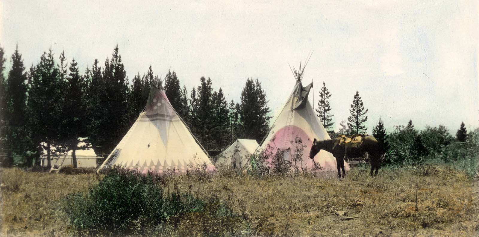 Horse grazes near tipi and tents, Glacier Park, MT. MS 320 Paul Dyck Plains Indian Buffalo Culture Collection, McCracken Research Library. P.320.139