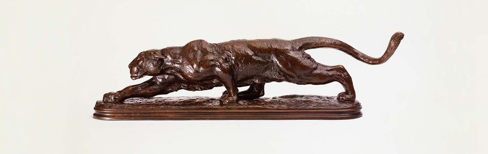 Alexander Phimister Proctor (1860-1950). "Panther," modeled 1891-1892, cast ca. 1893. Bronze, 37.25 x 9.75 x 6.5 inches. Gift of A. Phimister Proctor Museum, with special thanks to Sandy and Sally Church. 4.08.1