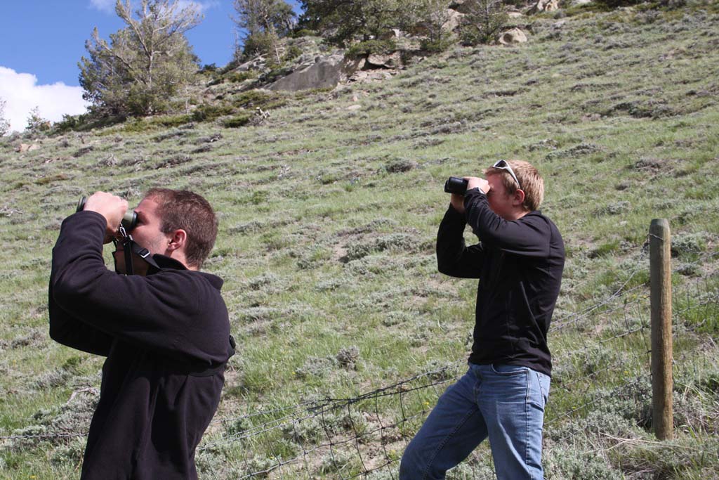 Horton (front) and Rodgers scan a large rock outcrop for any sign of nesting raptors. Photo by C.R. Preston.