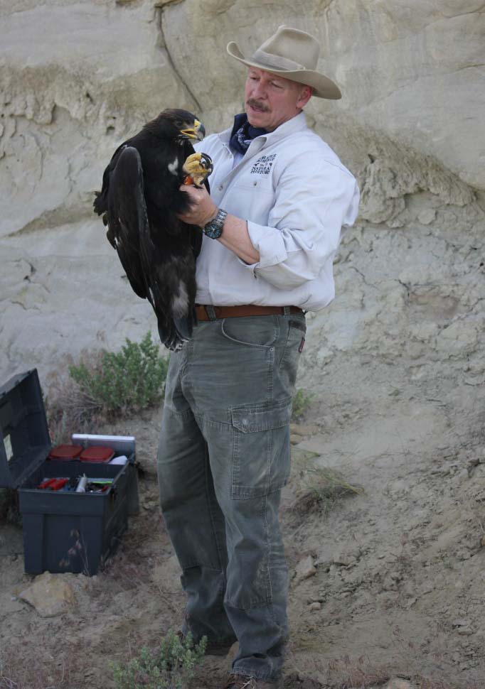 Dr. Charles R. Preston in the field for golden eagle research, 2020