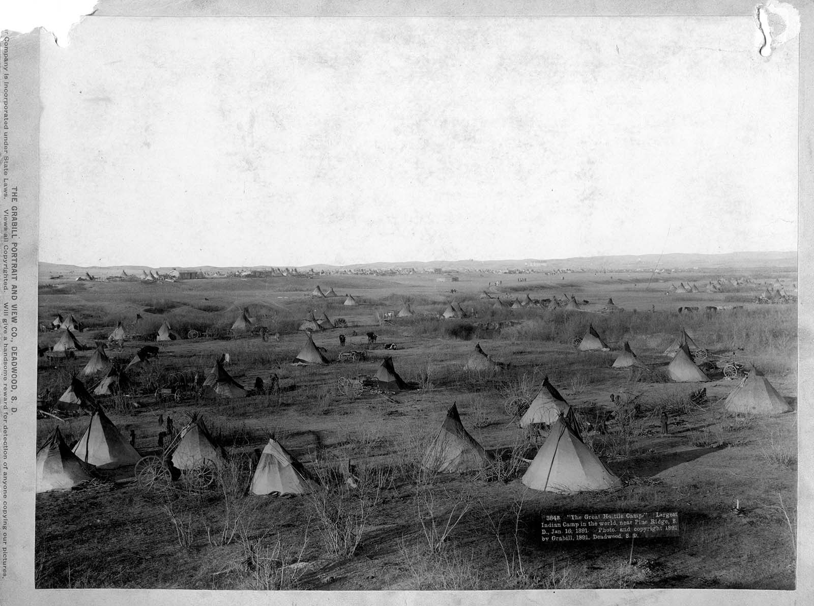 Camp near Pine Ridge, 1891. MS 35 North American Indian Photograph CollectionP.35.00