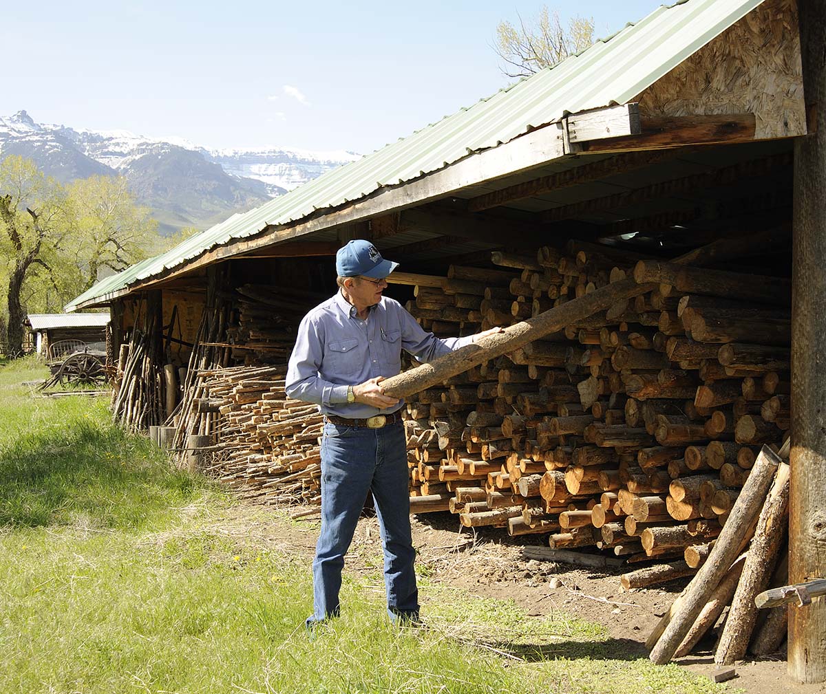 Ken Siggins choosing a log.