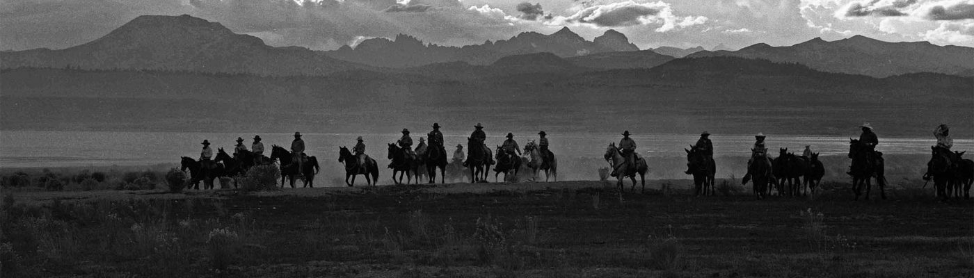William Shepley photo. Owens Valley Horse Drive, California 1991; silver gelatin print. P.602.016 (detail)