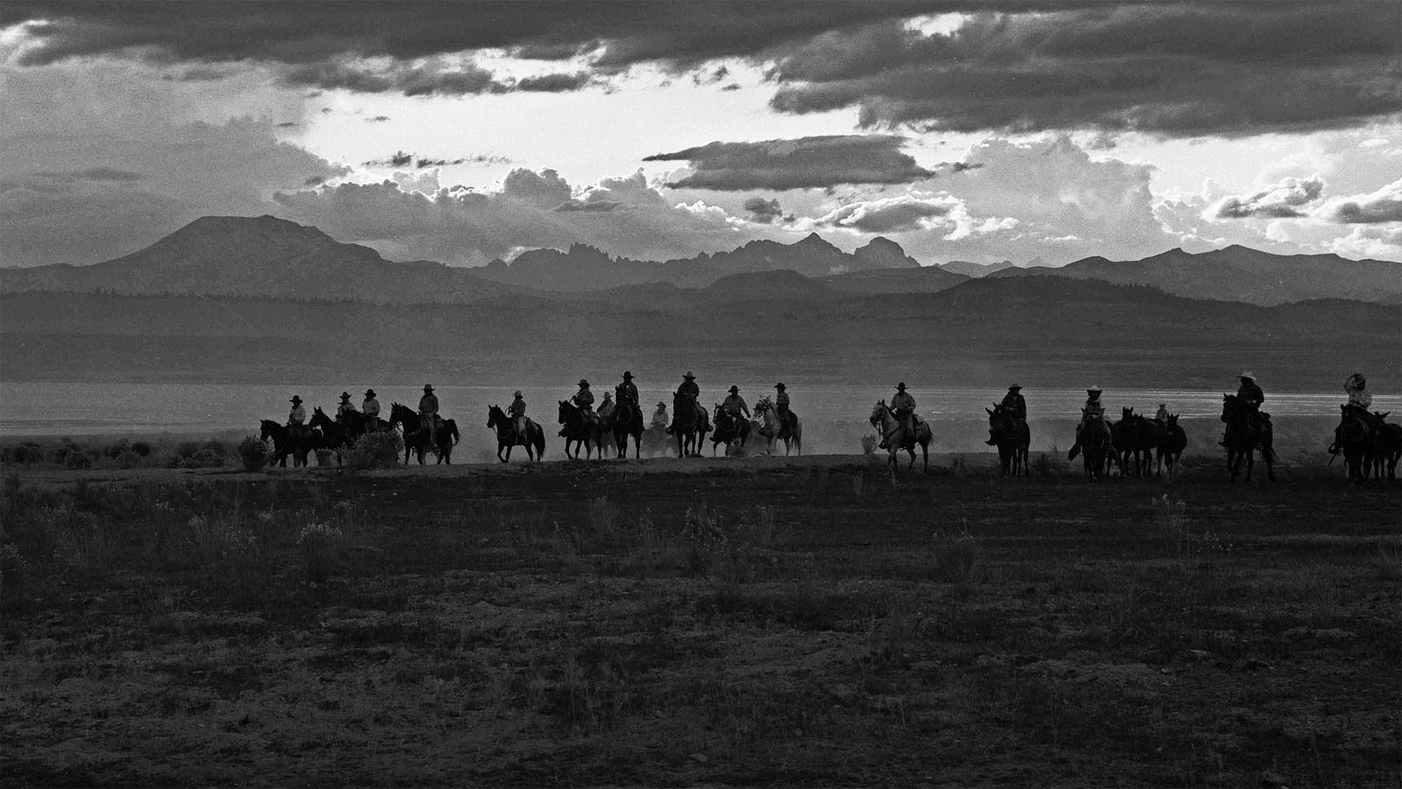 William Shepley photo. Owens Valley Horse Drive, California 1991; silver gelatin print. P.602.016 (detail)