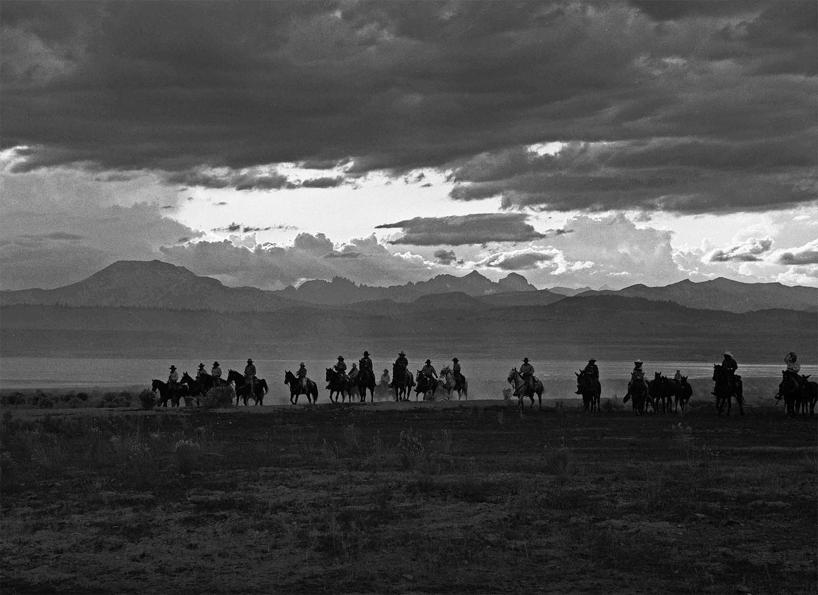 Owens Valley Horse Drive, California 1991. Silver gelatin print by William Shepley. P.602.016