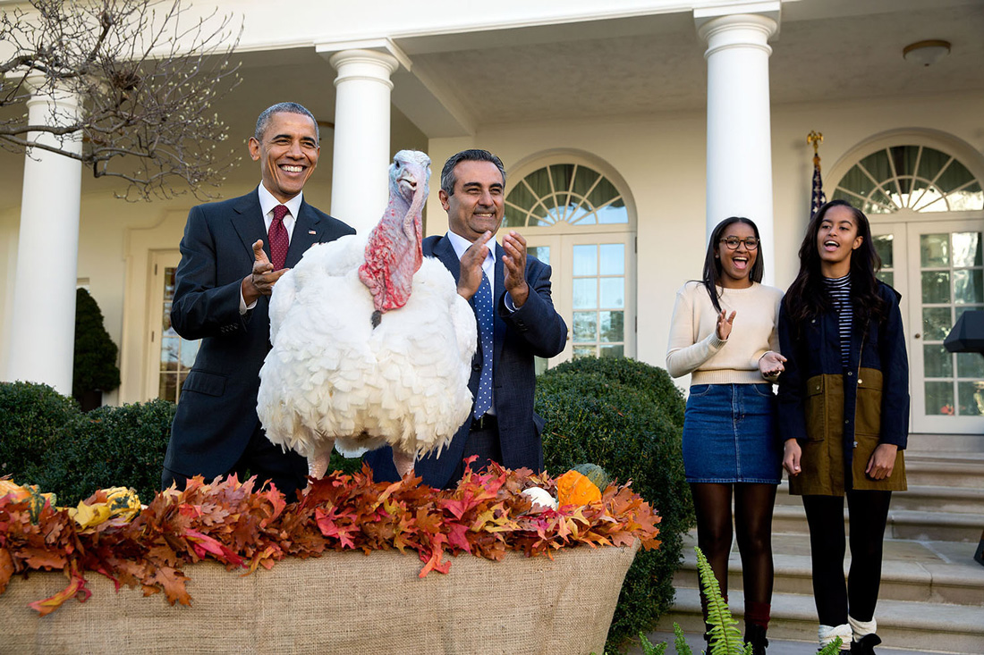 President Obama pardons a turkey as his two daughters watch.