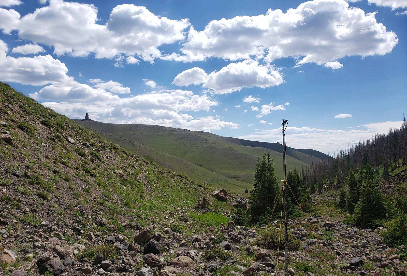 Deployment of an acoustic monitoring station. The sensors passively record ultrasonic bat calls, which are later retrieved and analyzed using specially designed software.