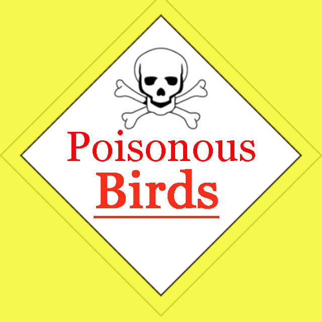 Poisonous Birds - Buffalo Bill Center of the West