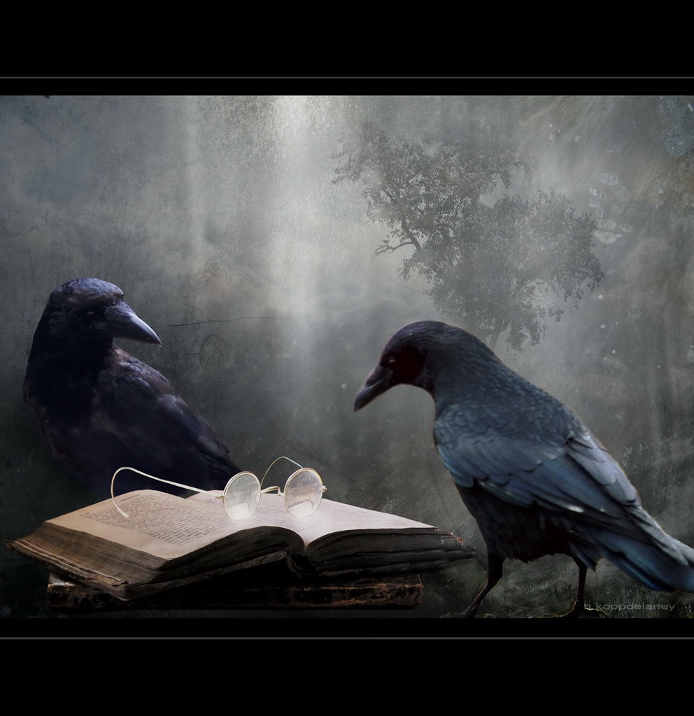 Photo shows two ravens with an open book with glasses on top.  This is a fun way to demonstrate intelligence. 