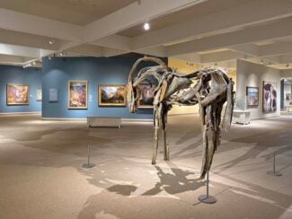 View of Whitney Western Art Museum gallery, with blue and yellow walls, Yellowstone art, and horse sculpture.