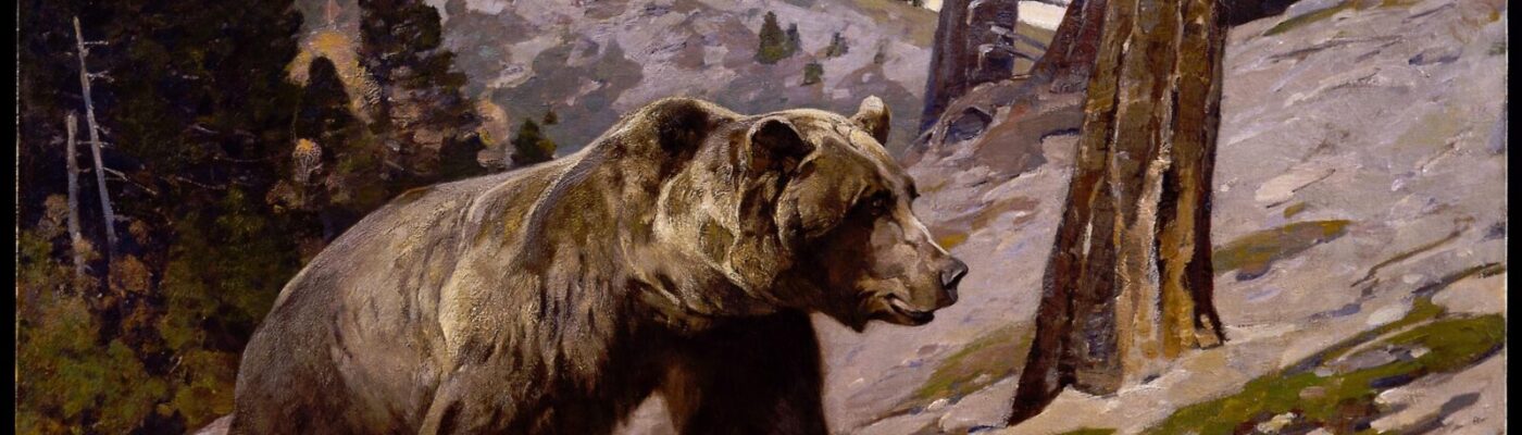 Silver Tip Grizzly Bear -- Rocky Mountains, Alberta- Rungius, Carl- oil on canvas 16.93.4